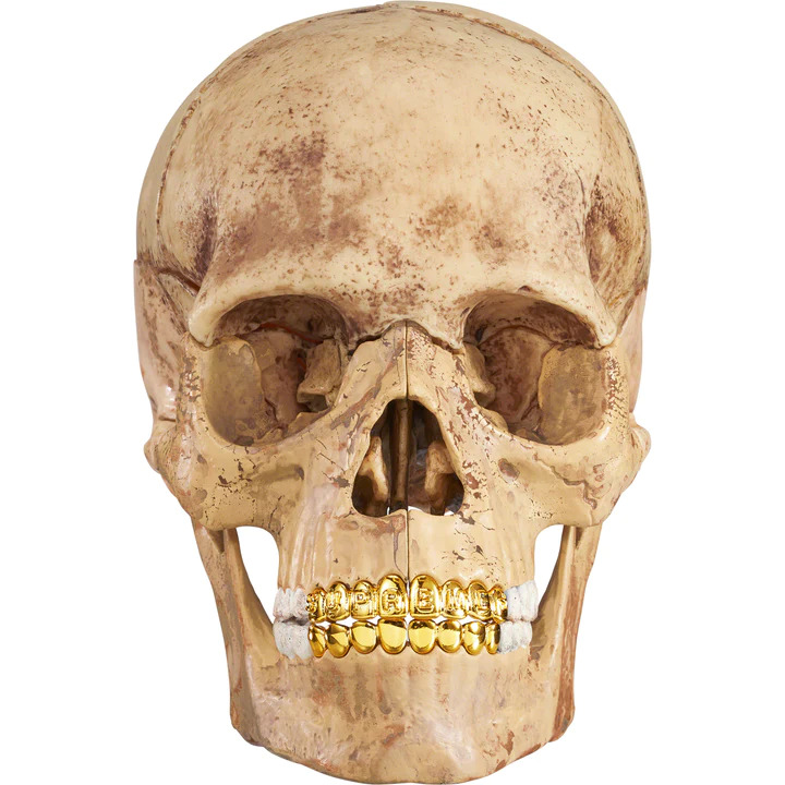 [해외] 슈프림 4D 모델 휴먼 스컬 Supreme 4D Model Human Skull 23FW